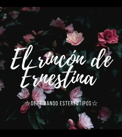Logo El rincon de Ernestina