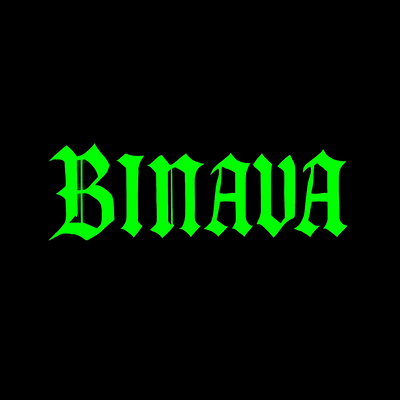 Logo BINAVA