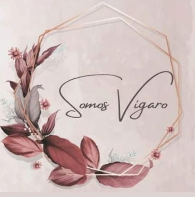Logo Somos Vigaro