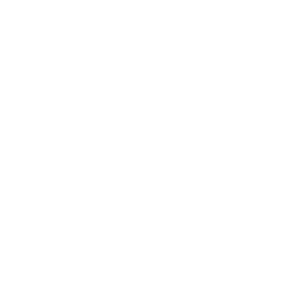 Logo NTE ®