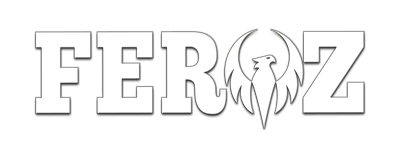 Logo Ferozcustom