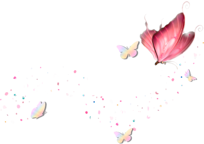 Logo Souvenirs Martina