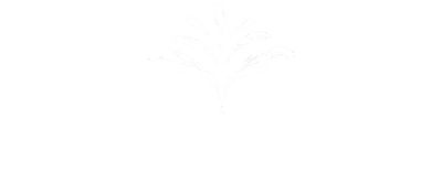 Logo Amapola