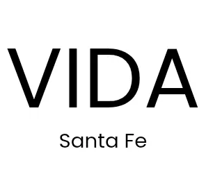 Logo VIDA