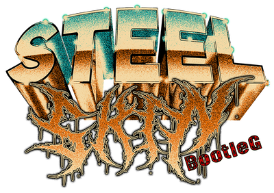 Logo Steel Skin Bootleg