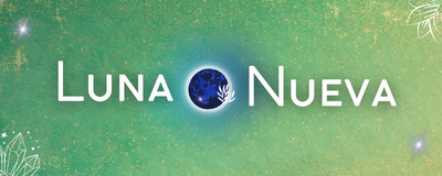 Logo Tienda Holística Luna Nueva