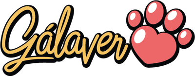 Logo GALAVER