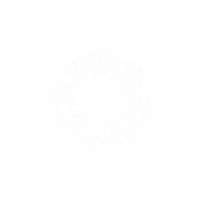 Logo stCENERE®