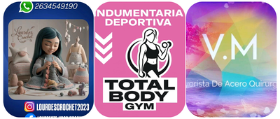 Logo LUZ DE LOURDES 