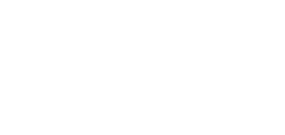 Logo Towi Argentina