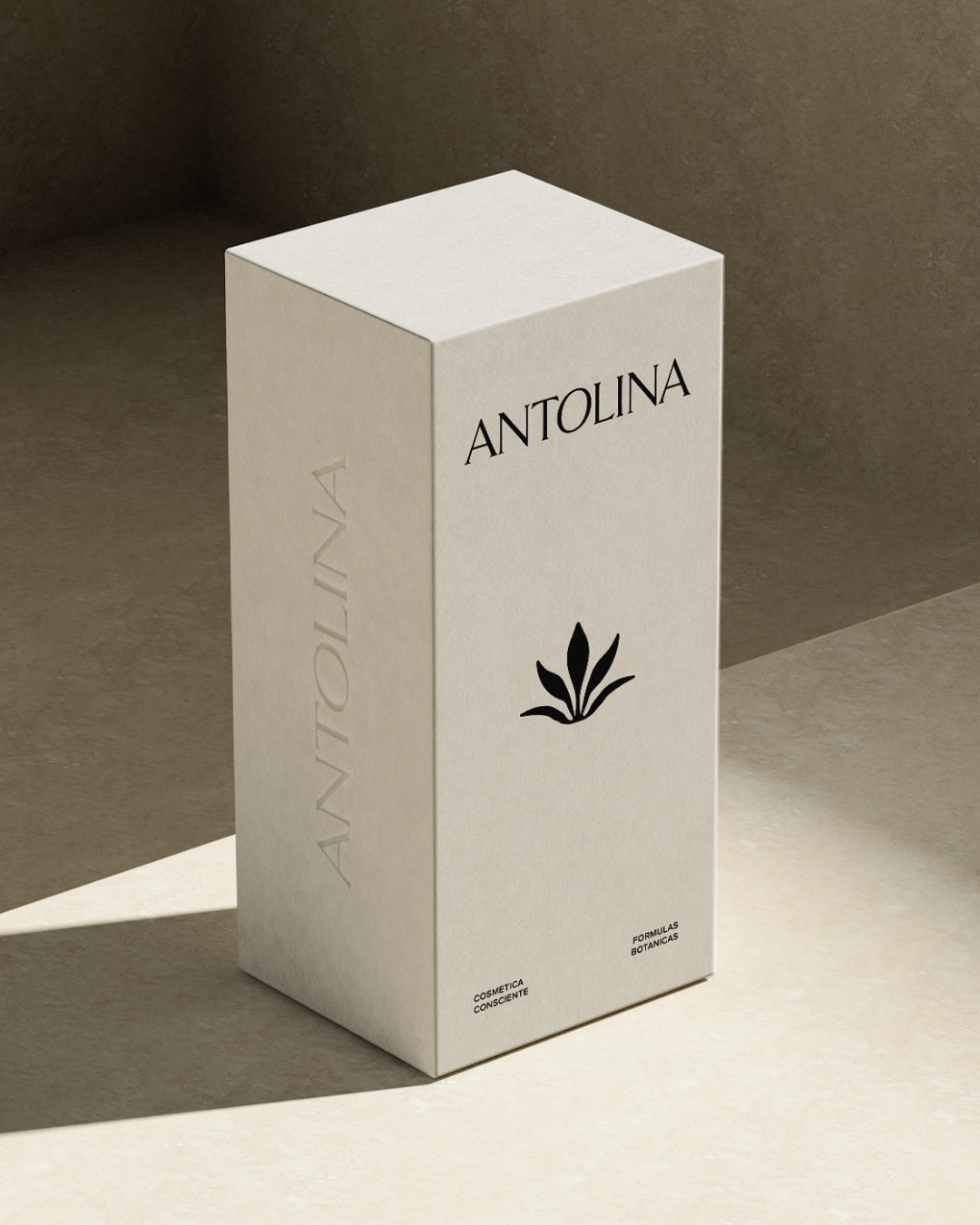 Antolina: pieza 5 de la identidad