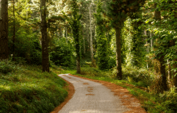 banner-0