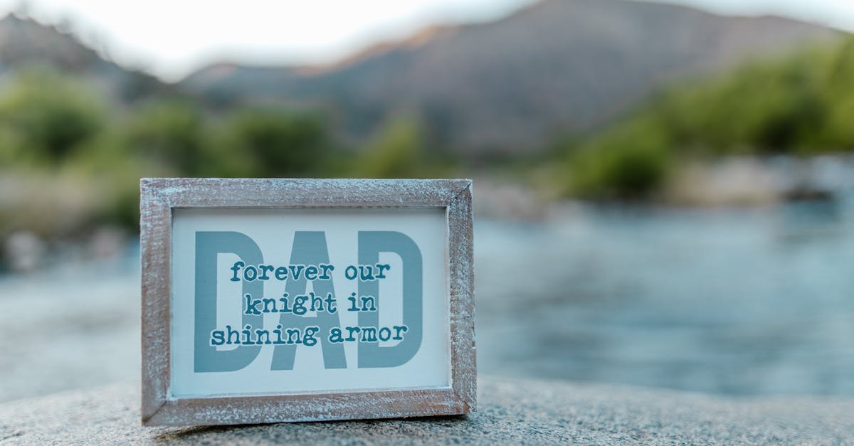 banner-0
