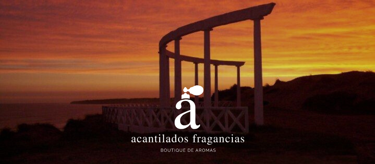banner-0