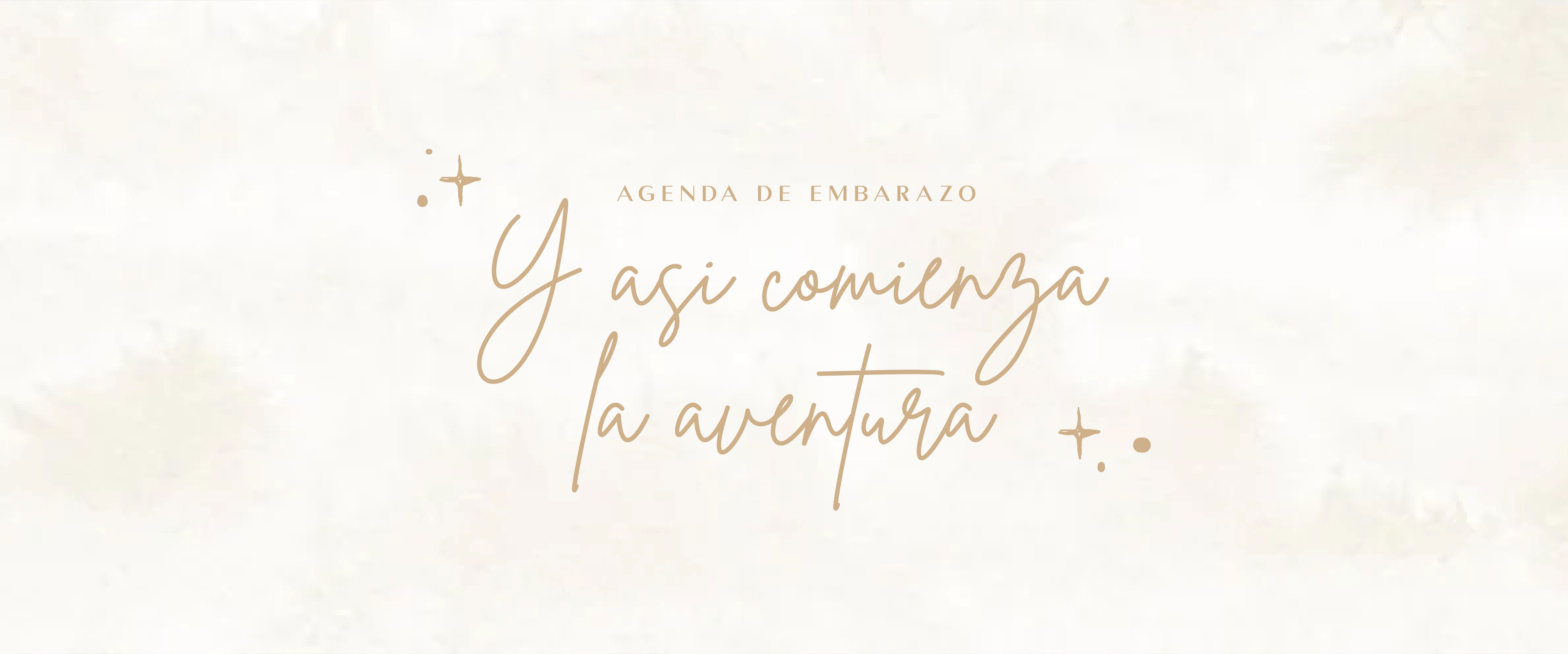 banner-1