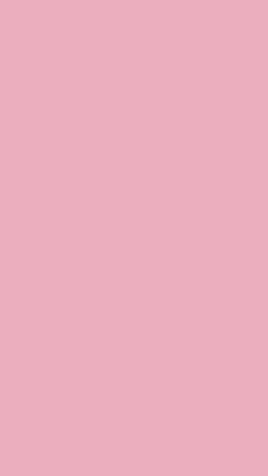 banner-0