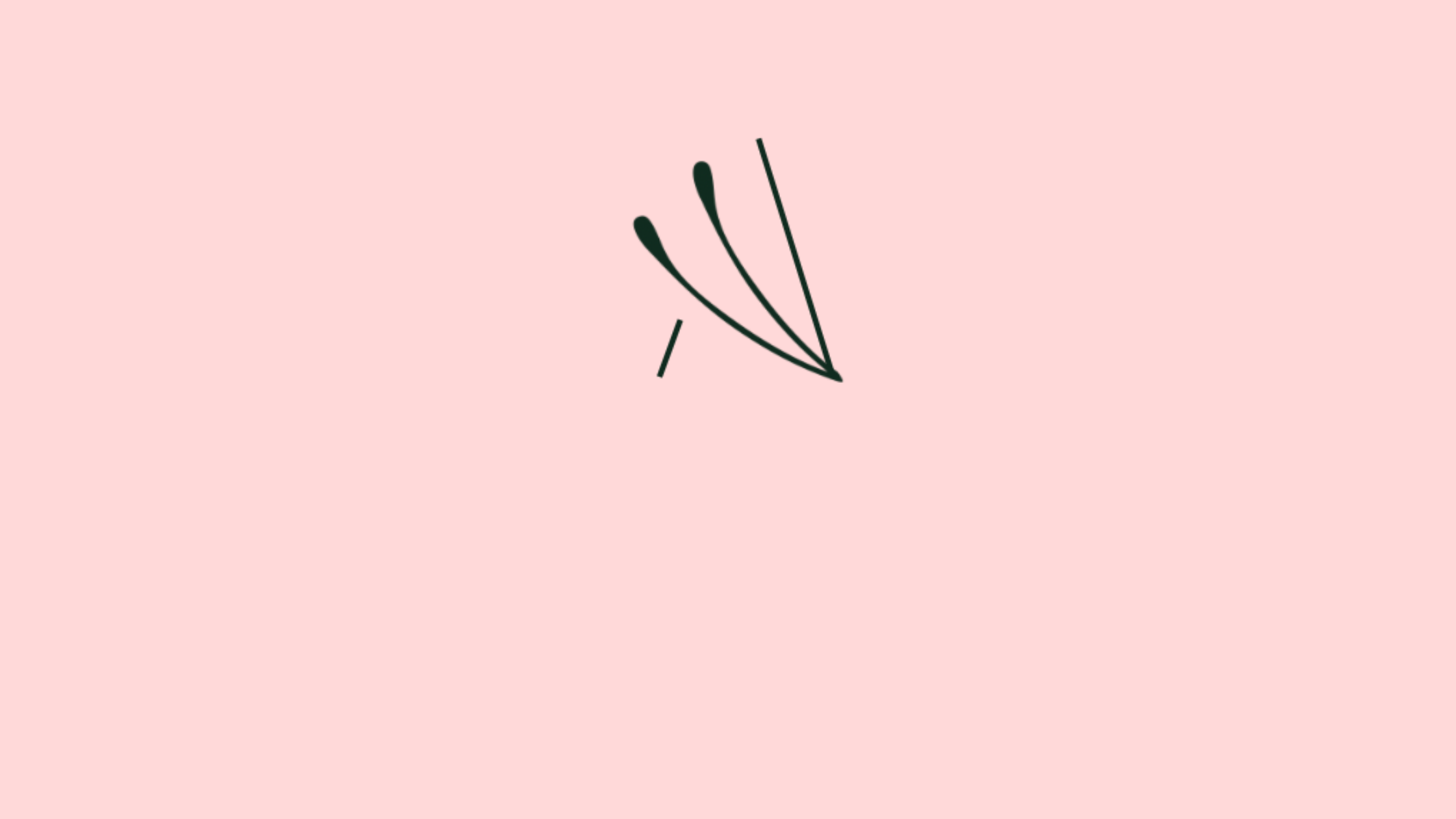 banner-0