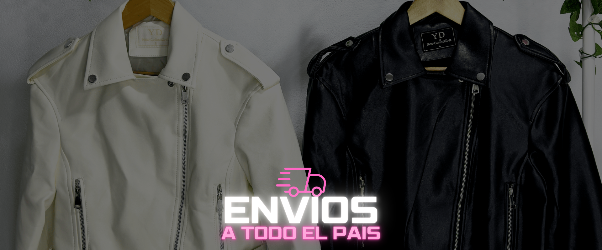 banner-3