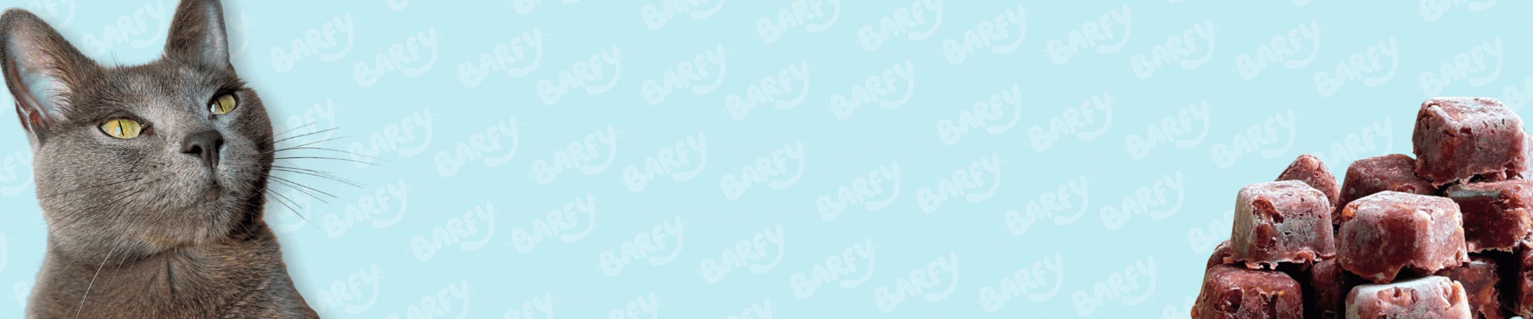 banner-0