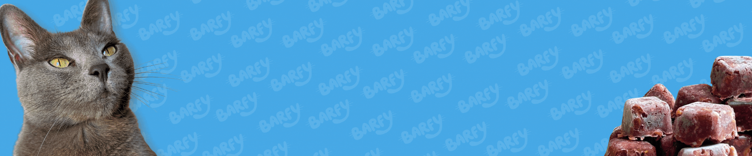 banner-0