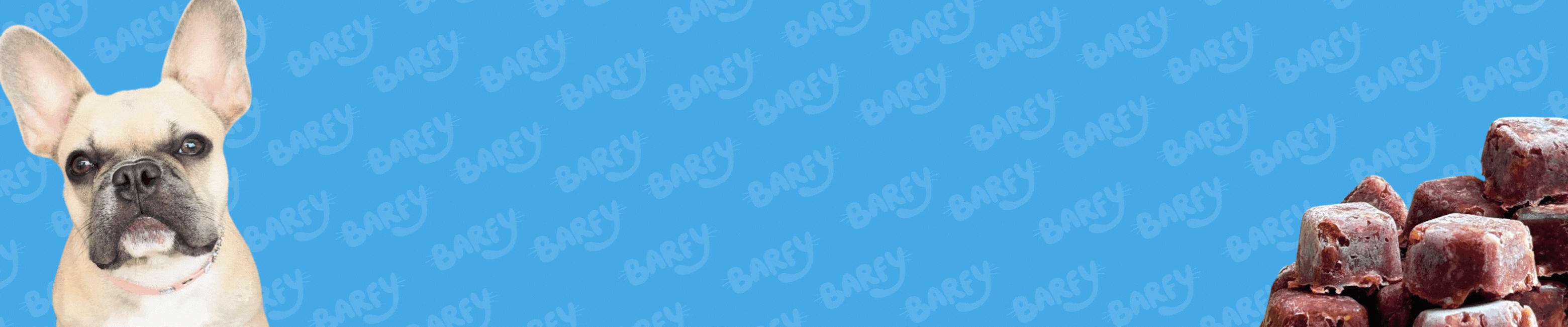 banner-0