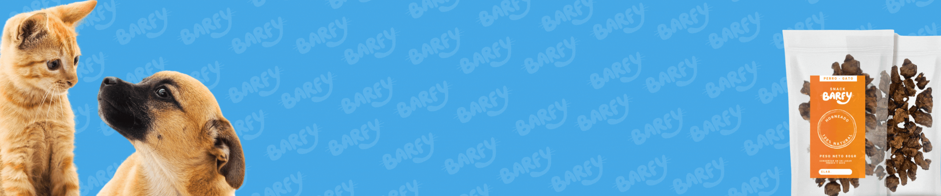 banner-0