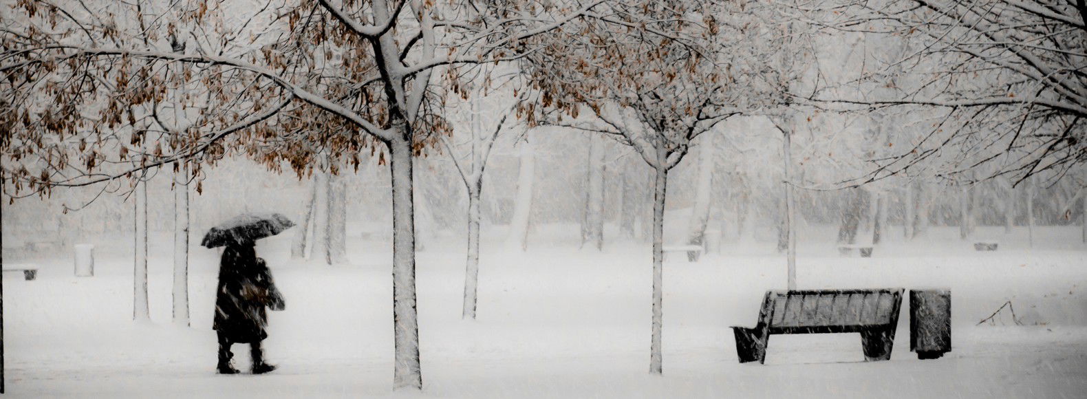 banner-2