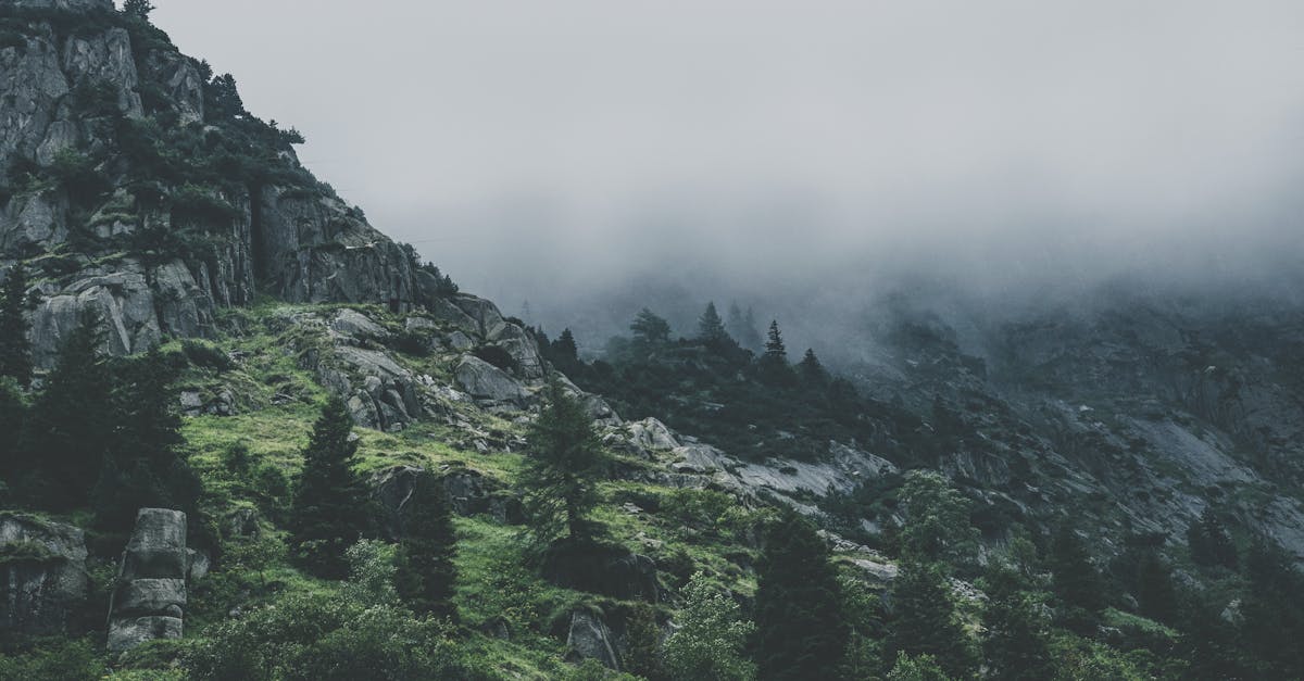 banner-0