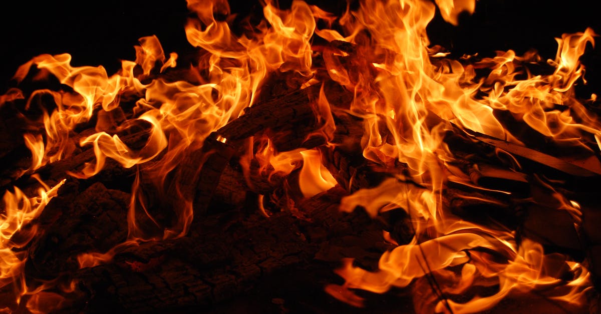 banner-0