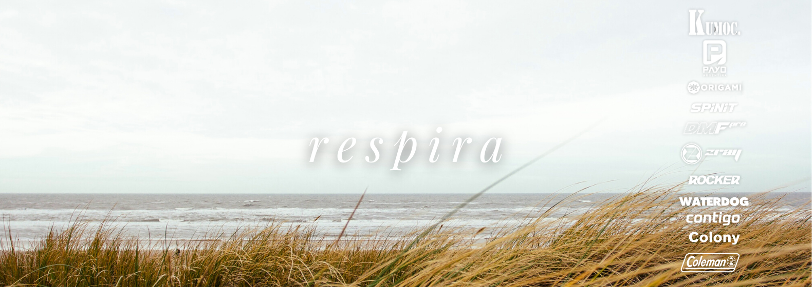 banner-1