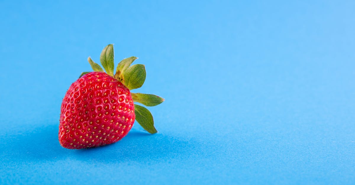 banner-0
