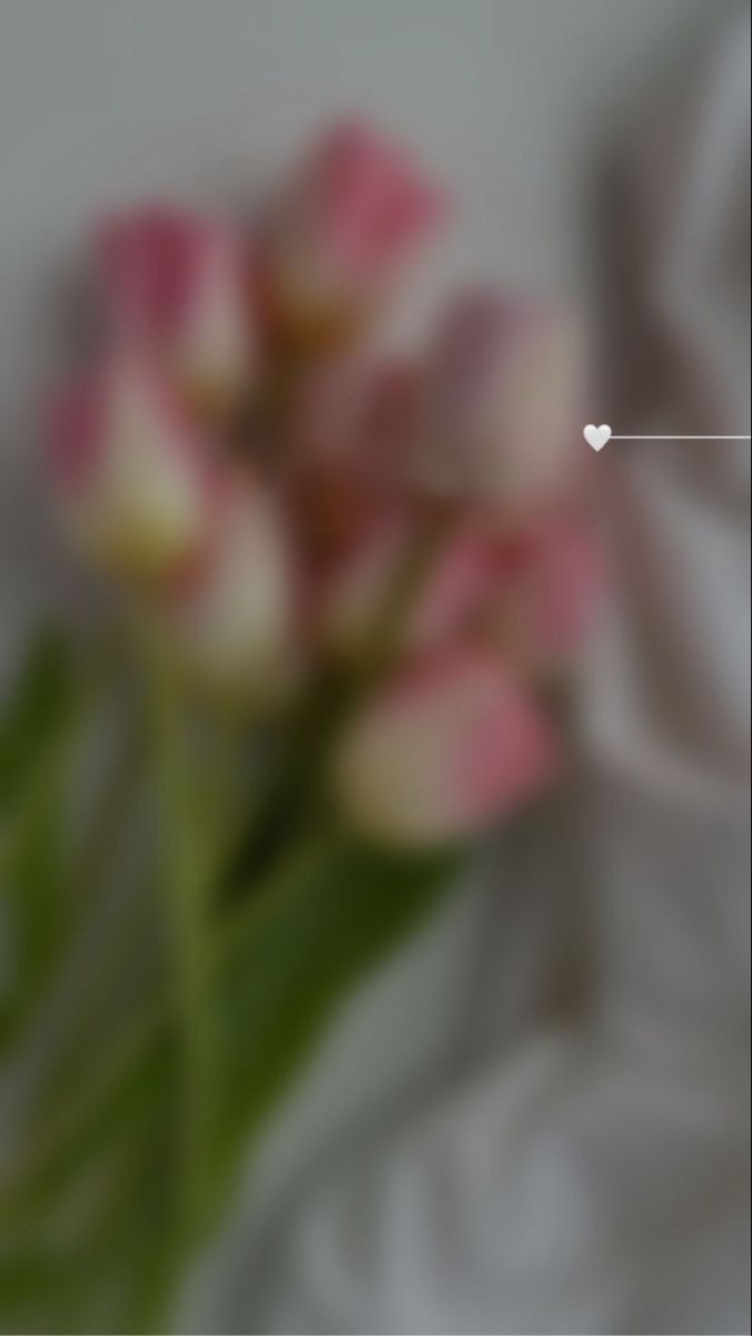 banner-0
