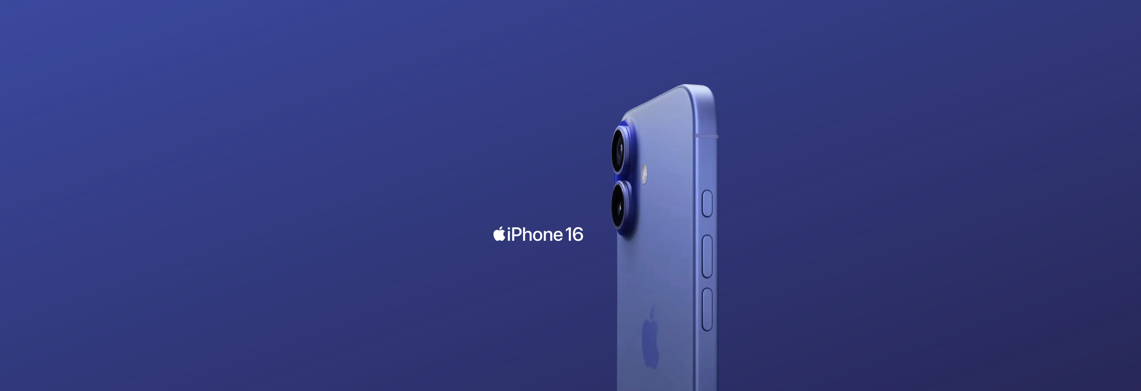 banner-0