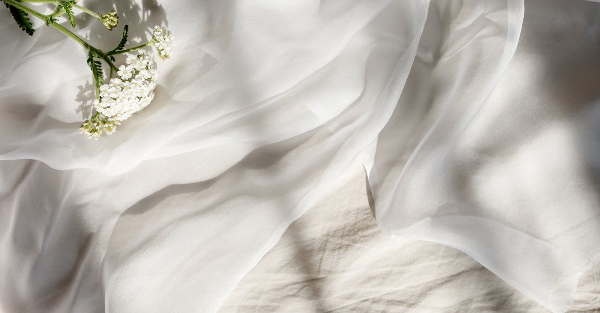 banner-0
