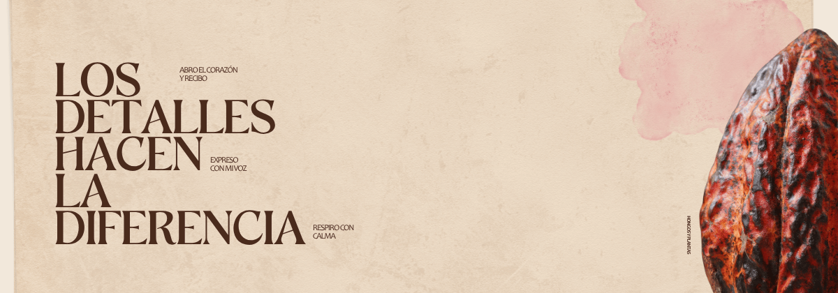 banner-0