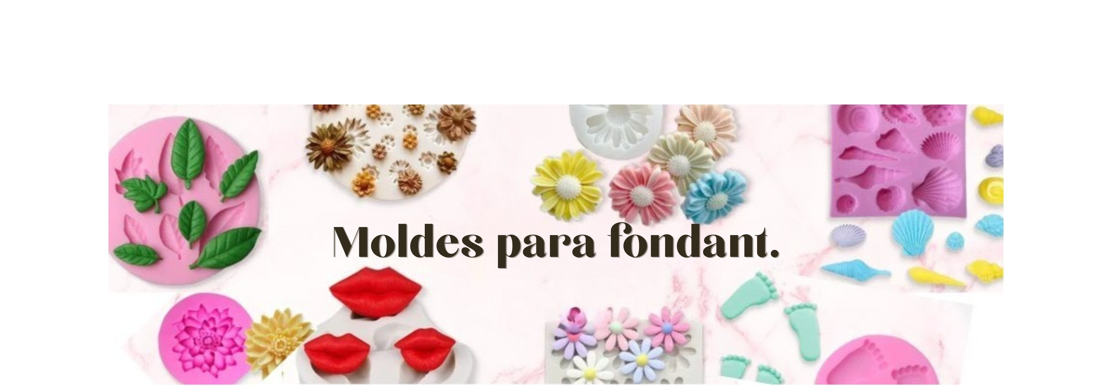 banner-2