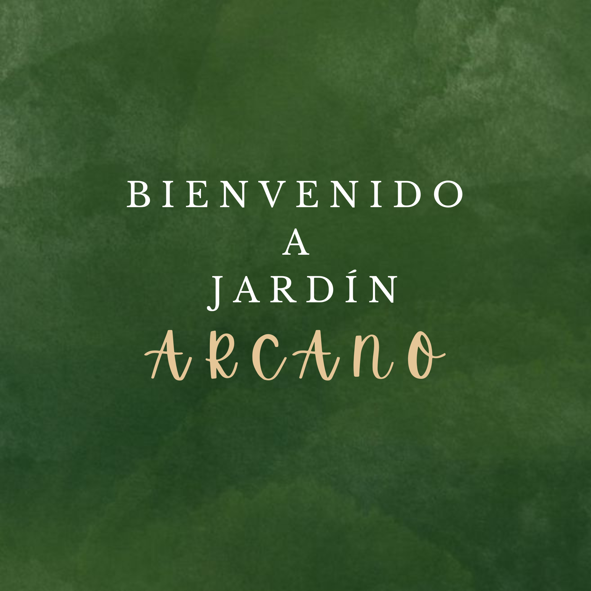 banner-0