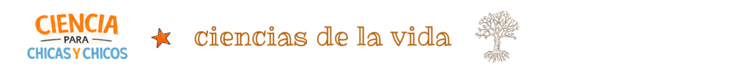 banner-0
